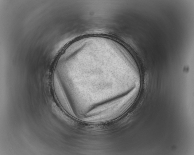 X0000111601404200908061403