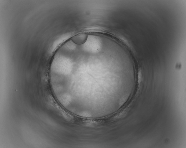 X0000111601405200908061403