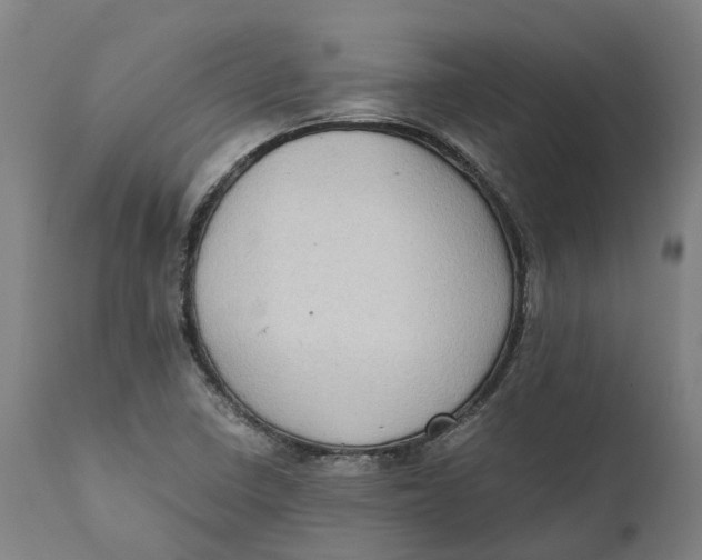 X0000111601410200908061403