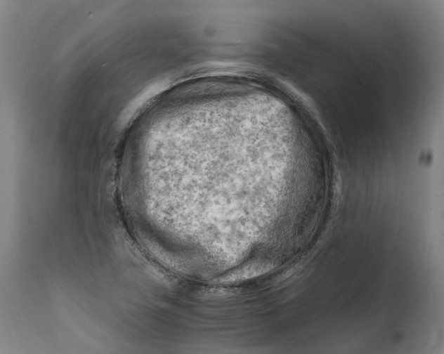 X0000111601411200908061403