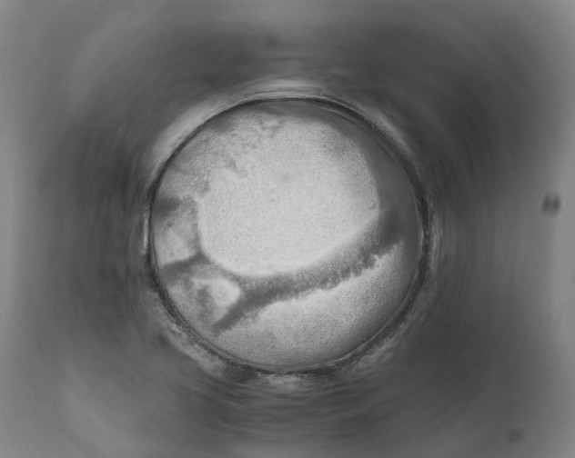 X0000111601413200908061403