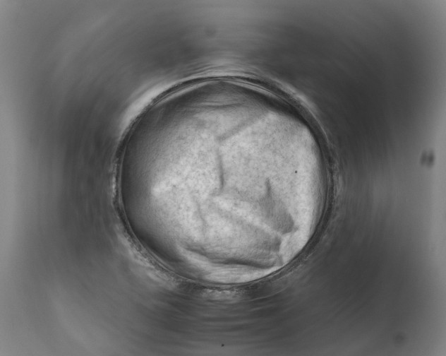 X0000111601415200908061403