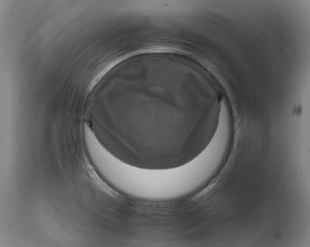 X0000111601417200908061403