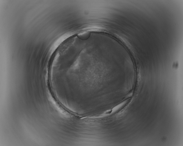 X0000111601418200908061403