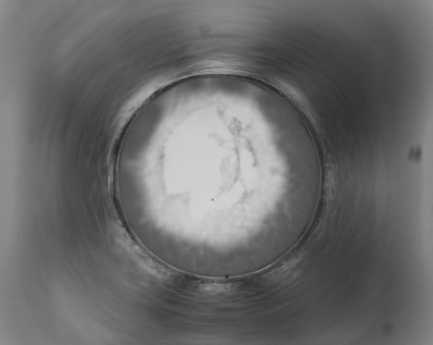 X0000111601419200908061403
