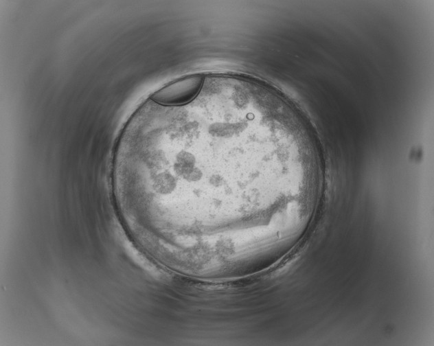 X0000111601421200908061403