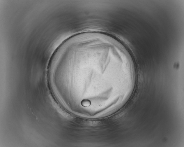 X0000111601423200908061403