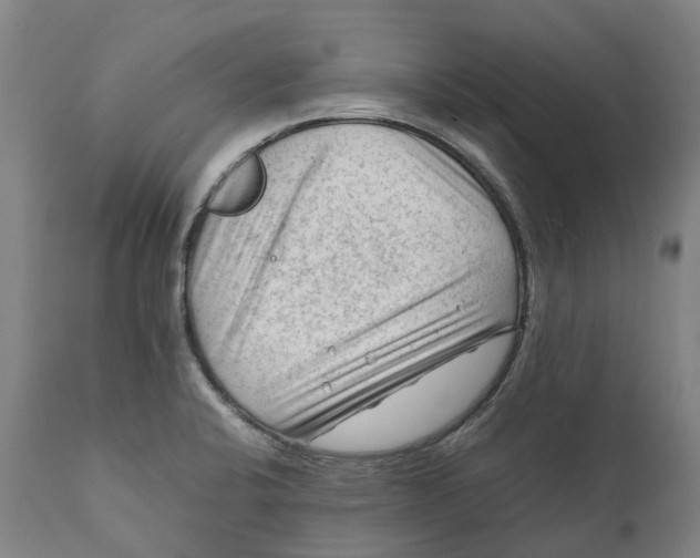 X0000111601424200908061403