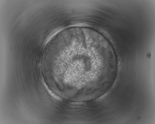 X0000111601425200908061403