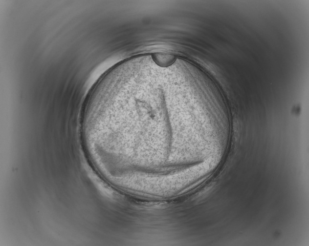 X0000111601426200908061403