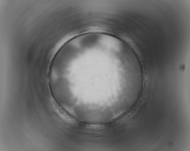 X0000111601427200908061403