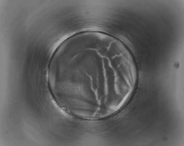 X0000111601428200908061403