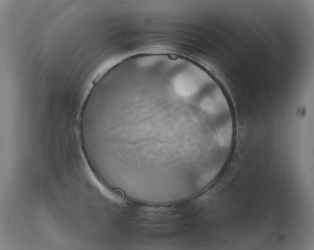 X0000111601429200908061403
