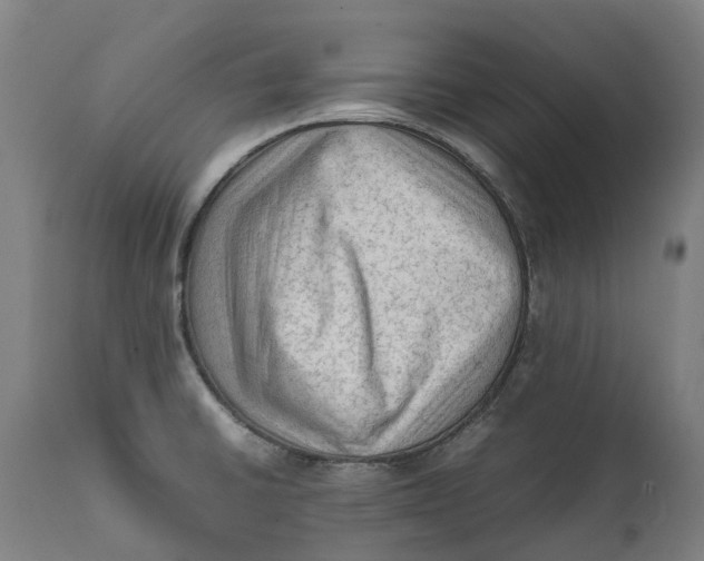 X0000111601430200908061403