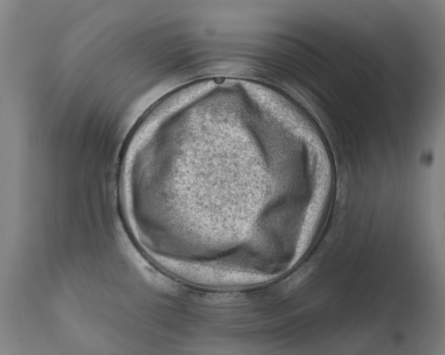X0000111601434200908061403