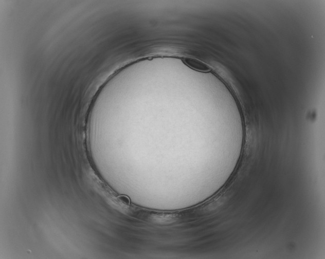 X0000111601435200908061403