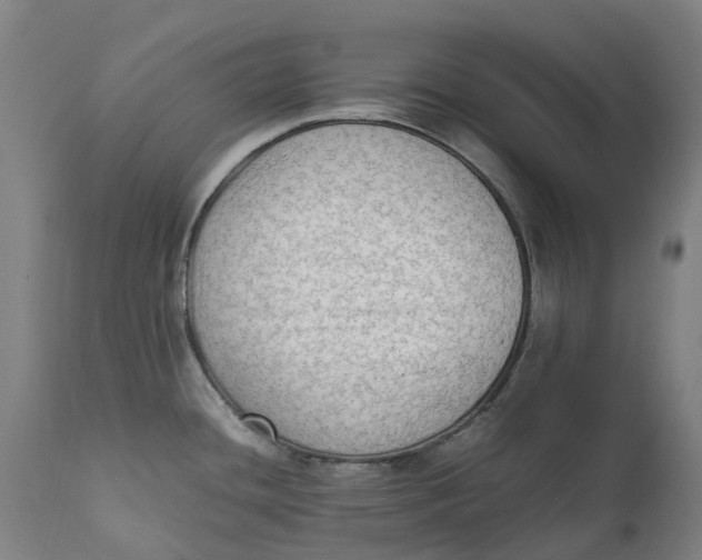 X0000111601436200908061404