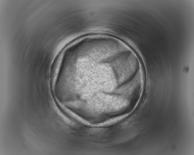 X0000111601437200908061404