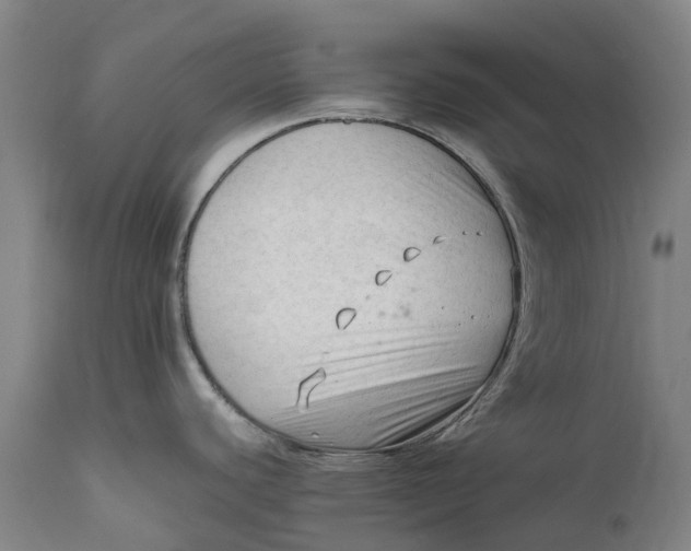 X0000111601440200908061404