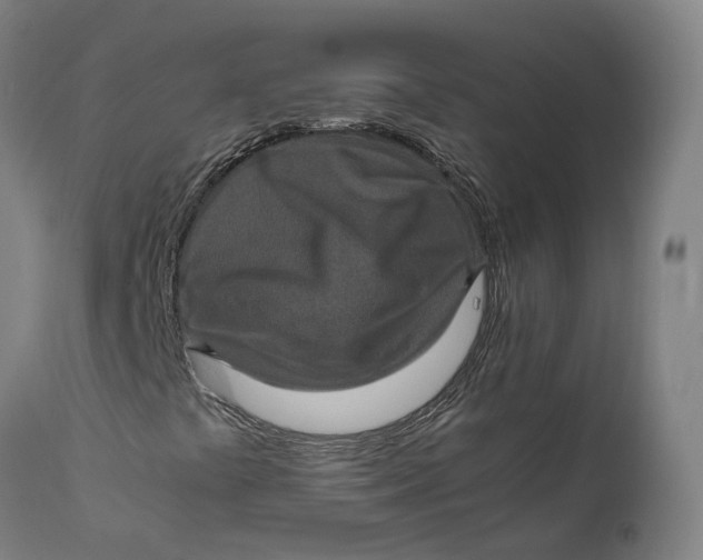 X0000111601441200908061403