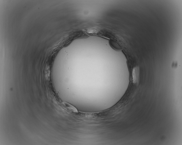 X0000111601443200908061403