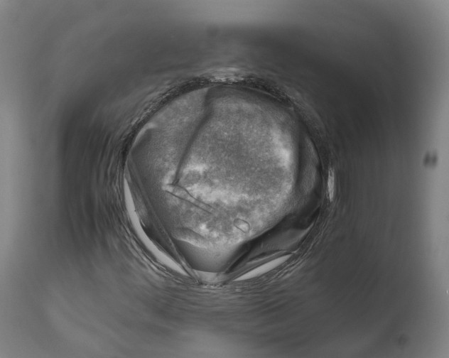X0000111601444200908061403