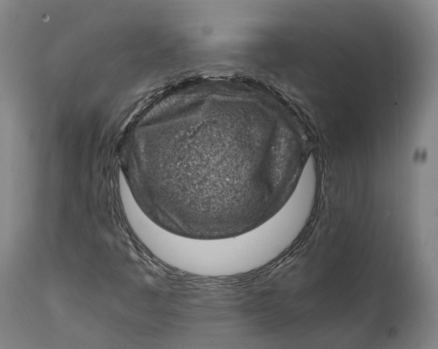 X0000111601445200908061403