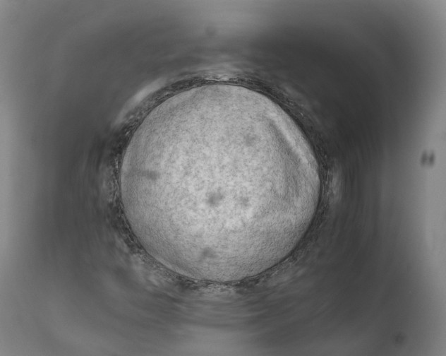 X0000111601446200908061403