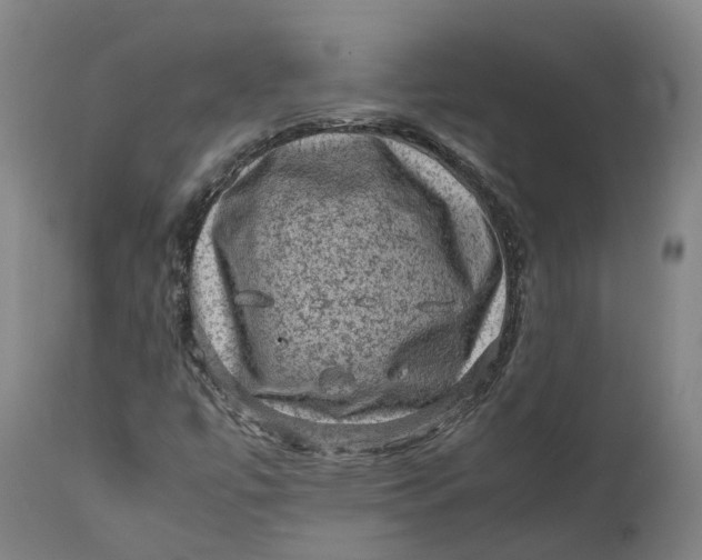 X0000111601447200908061403