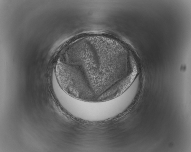 X0000111601448200908061403
