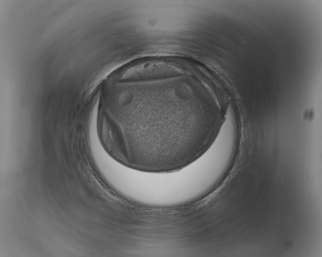X0000111601449200908061403