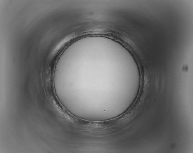 X0000111601450200908061403