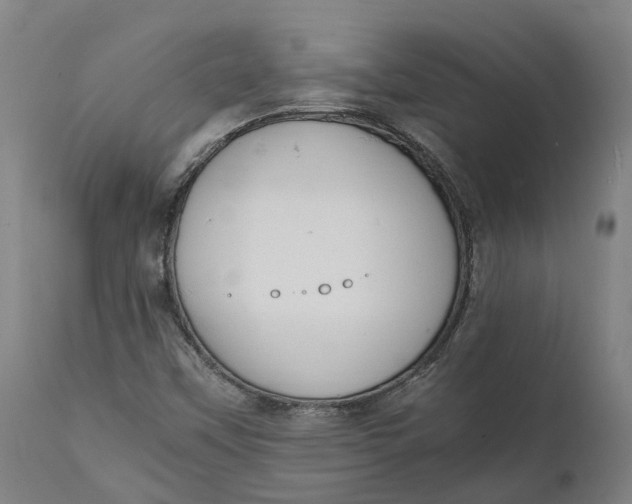 X0000111601451200908061403