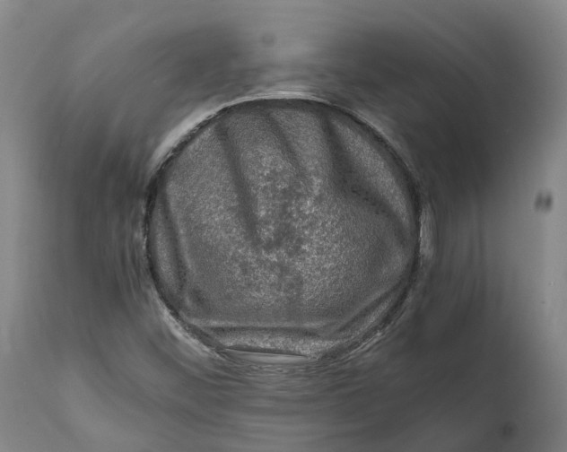 X0000111601452200908061403