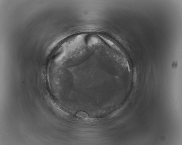 X0000111601453200908061403