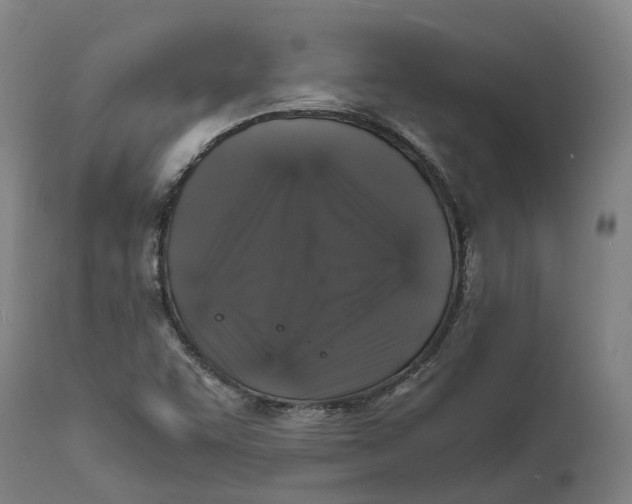 X0000111601455200908061403