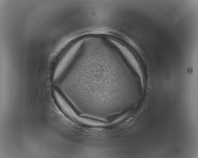 X0000111601456200908061403