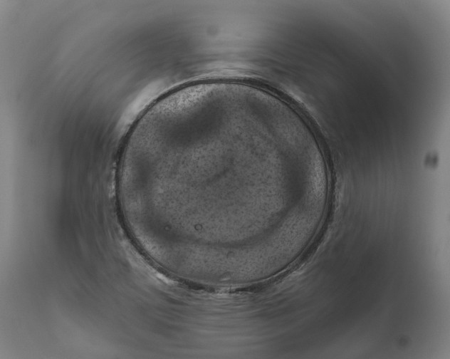 X0000111601459200908061403