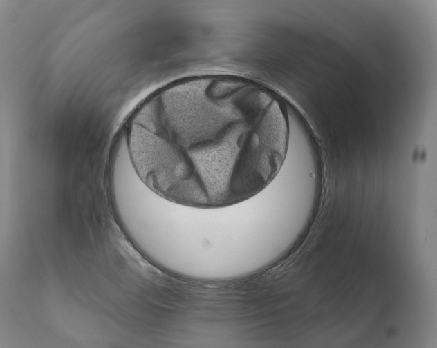 X0000111601460200908061403