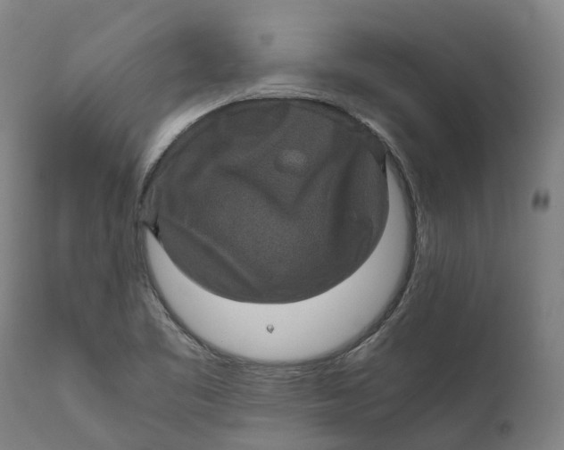 X0000111601461200908061403