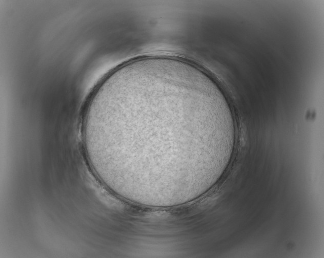 X0000111601462200908061403