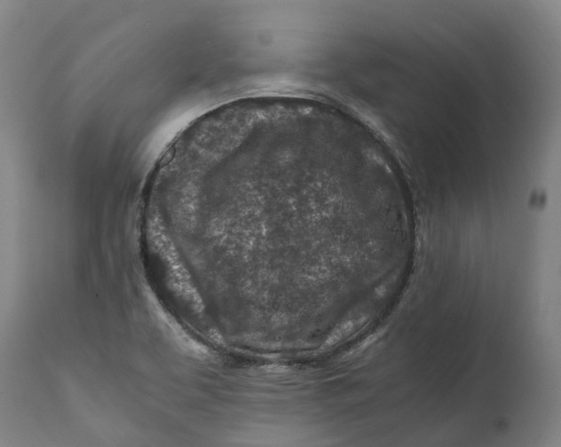 X0000111601463200908061403