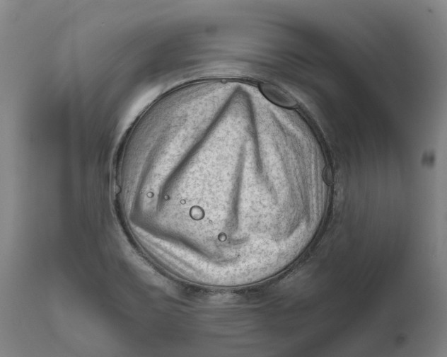 X0000111601467200908061402