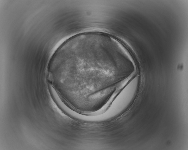 X0000111601468200908061402