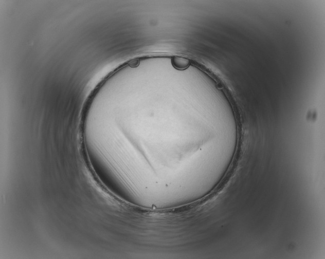 X0000111601469200908061402