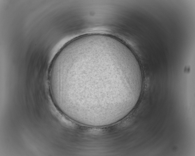 X0000111601470200908061402