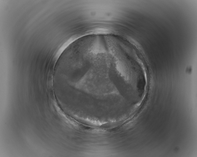 X0000111601473200908061402