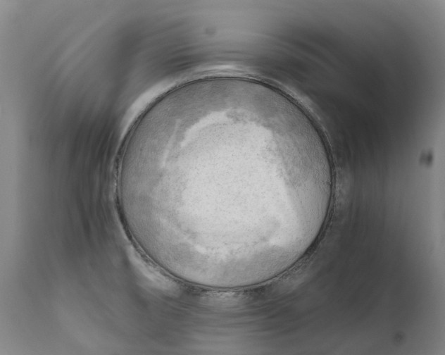 X0000111601474200908061402