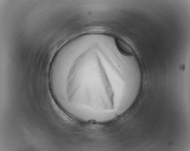 X0000111601475200908061402