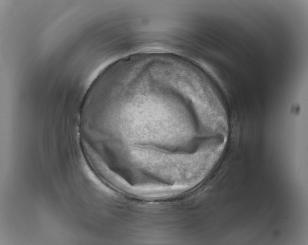 X0000111601476200908061402